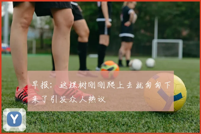 早报：这棵树刚刚爬上去就匆匆下来了引发众人热议